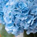 WILD WORKS 4 Pcs 21" Hydrangea Artificial Flowers, Light Blue Latex Real Touch Faux Hydrangeas for Bouquets Wedding Party Table Centerpieces Arrangements Indoor Home Decorations Outdoors, Mother's Day