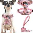PUPTECK Soft Mesh Christmas Dog Harness and Leash Set Pet Puppy Cat Comfort Padded Vest No Pull Harnesses, Bright Pink, S (S (NECK: 12", CHEST: 14"-18"))