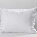 Natural Goose Down&Feather Pair Pillows Insert, Set of 2 Bedding Soft Pillows 100% Soft Cotton Queen 20x30in