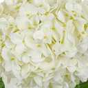 DILATATA Large Real Touch Hydrangea Artificial Flowers with Stems, 8" Full Bloom Fresh Touch Faux Hydrangea Bouquet for Vase Decor, Wedding Centerpieces, Home Table Arrangement 25.5 White Hydrangeas