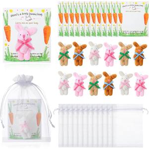 Simgoing 36 Pcs/12 Set Easter Bunny Pocket Hug Gift for Kids 2.4 Inch Mini Plush Rabbit with Positive Card and Organza Bag Soft Small Bunny Stuffed Animal for Easter Basket Stuffing Favors