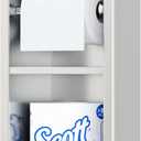 Neodrain Brushed Toilet Paper Holder, Contemporary Hotel Style Pivoting in Wall Toilet Paper Holder, Stainless Steel Recessed Tissue Paper Roll Holder, Double roll (6X12In)