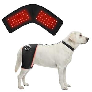 HAGGEMI Dog Hip Brace with Red Infrared Light Therapy – Pain Relief for Arthritis, Hip Dysplasia, Spine Issues & Muscle Recovery, Portable & Cordless, Patent Pending(Male Dog, L)