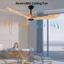 60" Modern Ceiling Fan, Bedroom Fan With Remote Control, 2 Downrods, Reversible DC Motor 27W Quiet Energy Saving