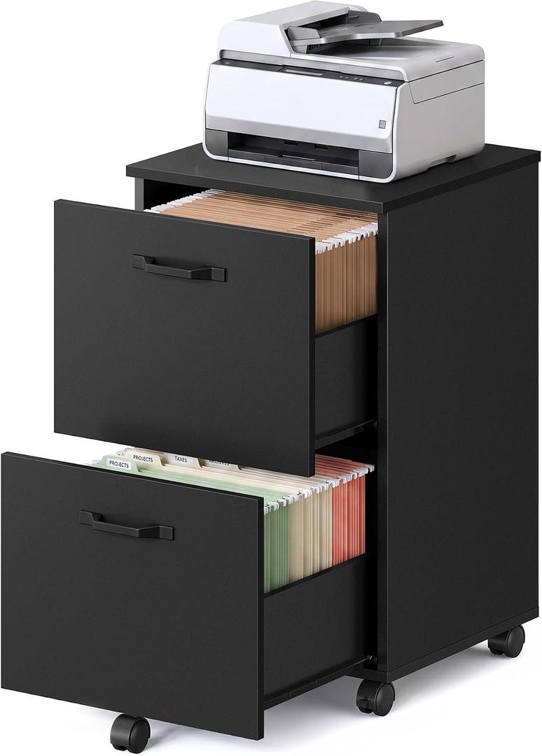 VASAGLE 2-Drawer File Cabinet, Small Rolling Filing Cabinet