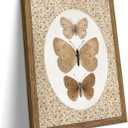 Vintage Wall Art Framed Butterfly Pictures Wall Decor, Antique Bathroom Decor, Moody Cottage Core Painting Canvas Prints, Insect Farmhouse Artwork for Bedroom Living Room 16x24 Inch