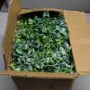 Dolicer 5 Packs Eucalyptus Garland, 30FT Faux Eucalyptus Greenery Garland, Artificial Eucalyptus Leaves Vine, Fake Hanging Eucalyptus Garlands Wedding Backdrop Arch Wall Table Party Decor (Grey Green)