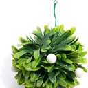 Anderson's Hanging 5" Mistletoe or Kissing Ball  Christmas, Christmas in July, Bridal Showers, Weddings, Parties & Holiday Dcor for Home, Office, Events & Gift Giving