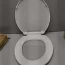 American Standard Toilet Seat 5320B65CT.020 Champion Round Toilet Seat Soft Close, White