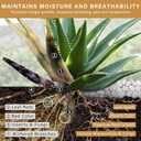 NUPICK 16lb White River Rocks for Outdoor Landscaping, 1-2 Inch Pebbles for Indoor Plants, Natural Polished Aquarium Gravel, Decorative Rocks for Succulent, Garden, Vases Fillers, Bird Baths