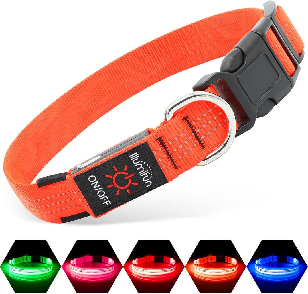 Illumifun LED Dog Collar USB Rechargeable Light Up Dog Collar, Reflective Pet Safety Collar Light Glow in The Dark (Orange, Medium)