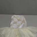 ANIAC Embroidered Dog Dress for Small Dog,Girl Puppy Princess Tutu Dress with Leash Ring,Cat Apparel,Chihuahua Yorkie Clothes for Birthday Wedding (Large, Champagne)