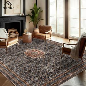chamler Washable Area Rug 9x12 Boho Chic Medallion Distressed Design Non-Shedding Easy Care Ideal for High Traffic Areas in Rug for Living Room Bedroom Office Coffee Table Large Carpet