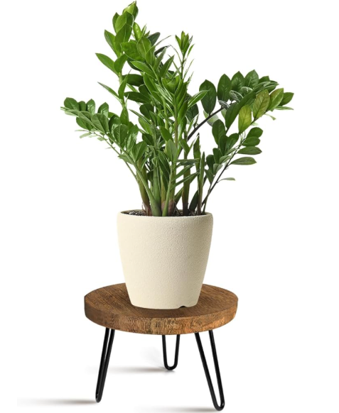 Plant Stand Indoor Outdoor Wood Mid Century Plant Stand for Indoor Plants, Modern Plant Table Round Plant Stool, Boho Rustic Wooden Stool for Plant Pot Hol (L)