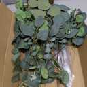 Eucalyptus Leaves Stems 100 PCS, 4 Kinds Mixed Artificial Greenery Stems for Wedding Decor Vase Floral Arrangement Centerpiece