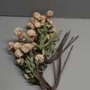 10 Pcs Fake Flowers, Artificial Mums With Long Stems, Beige Faux Pompon Mums Floral Arrangement, Champagne Plastic Flowers Silk Dried Flowers Home Decor, Fall Decorations For Home Vase(No Vase)