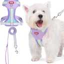 No Pull Dog Harness and Leash Set,Adjustable Dog Vest Harness for Small Medium Large Size Dogs,Breathable and Soft Escape-Proof Puppy Harness with 2 Buckles (Purple)