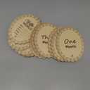14 Pcs Wooden Monthly Baby Milestone with Ribbon Monthly Milestone Wood Discs Photo Props for Newborn Baby Girl Boy Baby Shower Gifts(Pink)