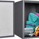 20" H Metal Locker Storage Cabinet, Lockable Cabinet, Small Lockerfor Employees, Lockable 1 Door with 2 Hooks Organizer for Bedroom, School, Office, Playroom, Daycare, Garage