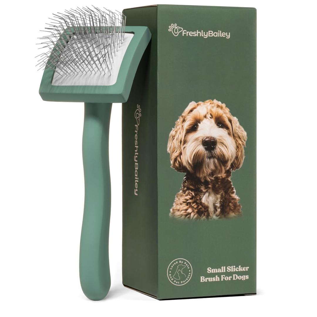 Freshly Bailey Doodle Brush for Goldendoodle, Poodle, and Labradoodle Coats - Best Slicker for Dogs With Wavy & Curly Hair - Detangle & Fluff Like a Pro - Grooming Must Haves (Small)