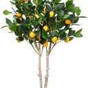 Northlight 45" Potted Green and Yellow Artificial Lemon Tree in a Black Pot