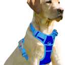 BARKBAY No Pull Dog Harness Front Clip Heavy Duty Reflective Easy Control Handle for Large Dog Walking(Sapphire Blue & Blue,XL)