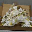 38" White Orchids Artificial Flowers Velvet Silk Orchids, 6 PCS Faux Orchids Long Stem Artificial Flowers for Tall Vase & Home Wedding Decoration(White)