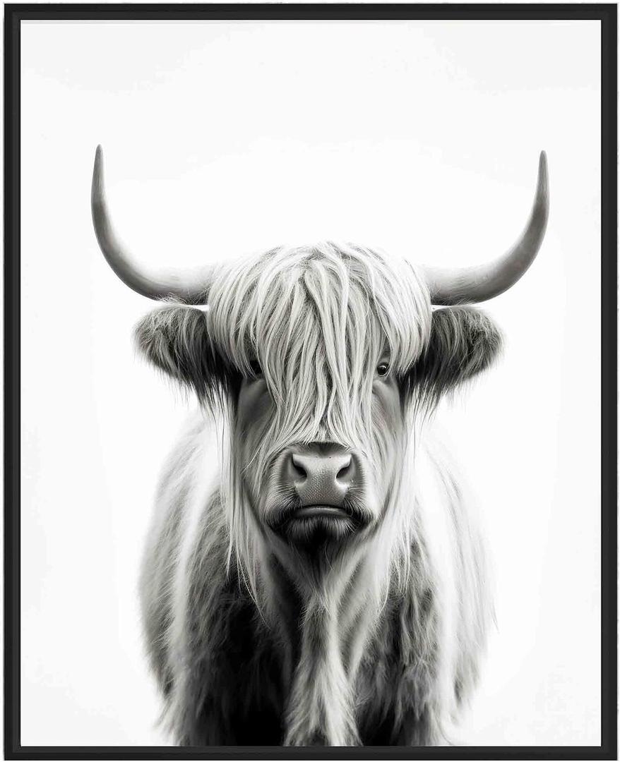Highland Cow Art Prints Posters, Black and White Animal Photography Wall Art, Wildlife Nature Photo, Exotic Animal Wall for Bathroom Bedroom Decor 71 (Highland Cow, 20"L x 16"W, Unframed)