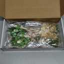 Layhit 24 Pcs Boho Dried Flower Bouquet Mini Wedding Handmade Dry Flowers Decor for Vase Crafts DIY Photo Boutonniere for Men Floral Plant for Bridesmaid Gift Birthday Decor(Greenery)