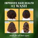 Herbal Essences Honey Daily Moisture Conditioner, Protects and Nourishes Dry Hair, Hydrating Conditioner with Certified Camellia Oil and Aloe Vera, Moisturizing and Safe For All Hair Types, 33.8oz