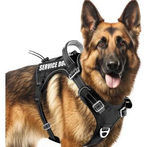 BARKBAY Service Dog Vest Tactical Dog Harness Medium Large Sized Dog No Pull Adjustable Dog Harness Reflective K9 Working Training Easy Control Military Molle System(Legion Black, XL)