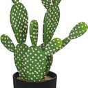 DILATATA 13" Small Fake Cactus Plant Potted 'Prickly Pear Cactus' Faux Cacti for Home Garden Office Decor Housewarming Gifts