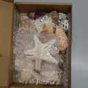 JSPYFITS Sea Shells Mixed Beach Seashells 24 Kinds, 1.5"5.5" Various Sizes Large Ocean Shells Whit 100pcs Pearls 2 Kinds Natural Starfish for Beach Theme Party Tank Filling Home Decor Wedding