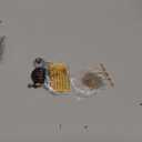 N008792 Air Compressor Regulator Repair Kit - by Braveboy, Compatible with Po-rter Cable/Craftsman/Dewalt, Replacement D55155 D55167 D55684 23400S Compressor Regulator Repair Kit