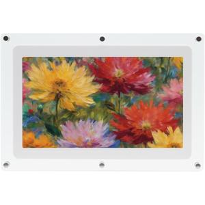 Canvia Kinetic Digital Art Frame - Smart Picture Frame to Play Full HD Video, Photo, or Images on Loop - Acrylic Frame, 4 GB Memory with Battery (10F)