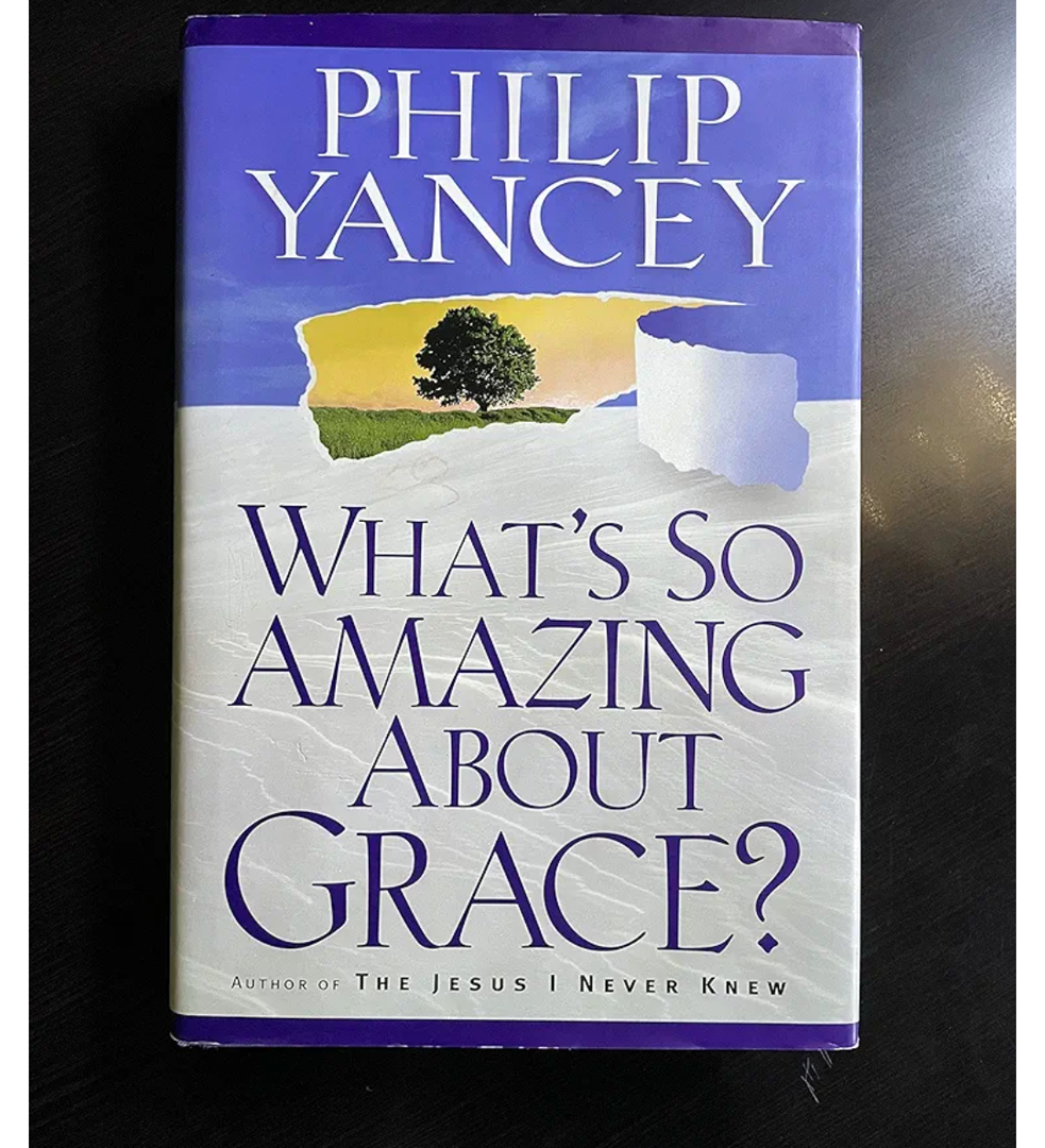 What's So Amazing About Grace?, Book 