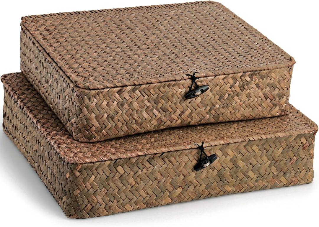 Elsjoy 2 Pack Flat Seagrass Storage Bins with Lid, Wicker Woven Storage Basket Set, Rattan Organizer Bins for Shelf, Closet, Bedroom