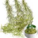SEEKO Succulents Extra Large Spanish Moss (3pck, 33" Long) - Fake Moss for Crafts (3 pc (33))