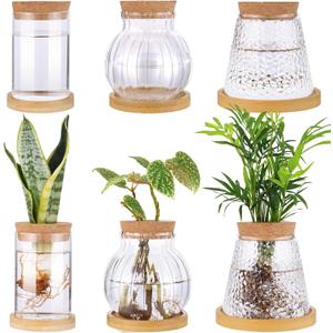 6 Pcs Plants Propagation Station Separated Desktop Glass Plant Terrarium with Wood Lid and Tray, 3 Sizes Hydroponics Plants Jars Water Planting Vases for Indoor Home Tabletop Decor