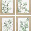 Botanical Plant Wall Art Prints: Sage Green Eucalyptus Picture Decor 4 Piece Framed Boho Leaves Poster for Bathroom Bedroom Living Room Home Decoration 8" x 10"