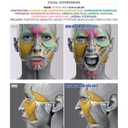 Anatomy of Facial Expressions, Paperback