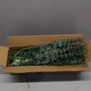 Giegxin 90 Pcs 3 Kinds Mixed Eucalyptus Leaves Stems Bulk Artificial Silver Dollar Leaves Picks Dried Eucalyptus Bundle Faux Spray for Wedding Vase Bouquet Floral Arrangement (Green)