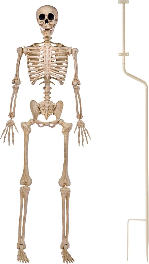 JOYIN 5 FT Halloween Skeleton Decor with Stand, Posable Life Size Skeleton, Full Body Realistic Bones with Movable Joints, Giant Skeletons Halloween Decorations for Indoor Outdoor Spooky Scene Decor