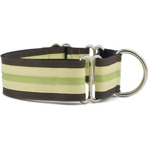 If It Barks - 1.5" Martingale Collar for Dogs - Adjustable - Nylon - Strong and Comfy - Ideal for Training - Made in USA - Large, Key Lime Pie (Large (19"-30"))