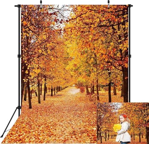 Autumn Forest Backdrop for Photography Fall Landscape Leaves Trees Vivid Nature Scene Thanksgiving Party Decorations Background Kids Adult Portrait Photography Supplies