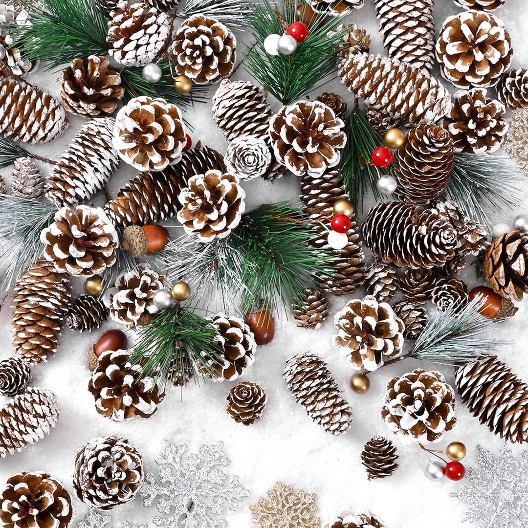 200-Piece Christmas Pinecone Decor Set, Natural Pinecone Acorns Berry Pine Branch Ornaments for Autumn and Winter Crafts Decorating, Bowl Vase Fillers, DIY Crafts Home Xmas Tree Gift Party Supplies