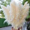15pcs 40''Dried Pampas Grass Decor Tall-Large pompas Grass-Natural Beige Tall Pampas Grass for Floor Vase,Wedding,Party,Farmhouse,Living Room Floor,Boho Home Decor