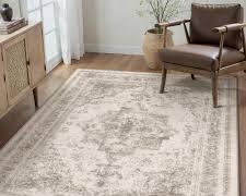 Purekozy Indoor Area Rug, 6x4ft