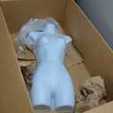 SSWBasics Female Mannequin Torso - Fits Womens Sizes 5-10 - Molded, Shatterproof & White