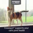 Nutramax Cosequin for Cats Joint Health Supplement, Contains Glucosamine for Cats, Plus Chondroitin and Omega-3s, Supports Joint and Skin and Coat Health, Soft Chews, 60 Count